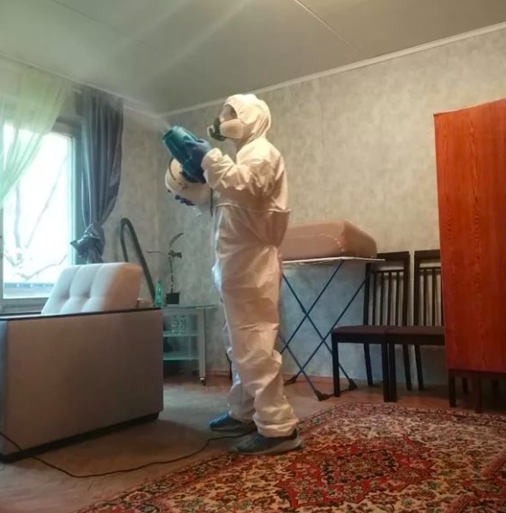 дезинсекция квартиры в Петушках